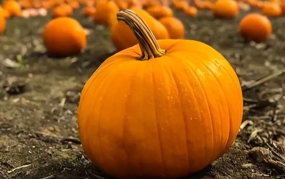 面对压力如何调整心态,面对压力我们该怎么办