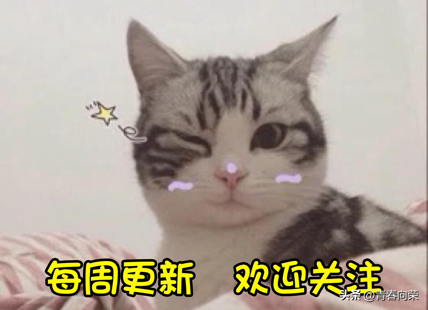 switch四年会卡吗,新手买switch需要知道哪些知识