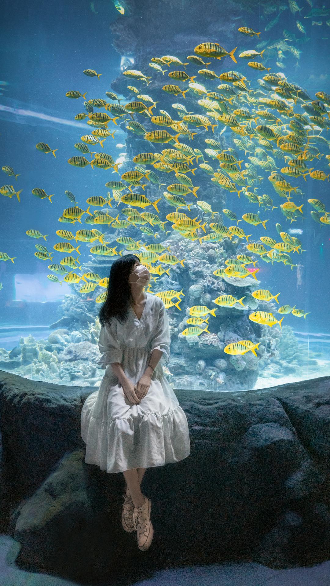 去武汉你一定要了解这些,去武汉必须做的10件事