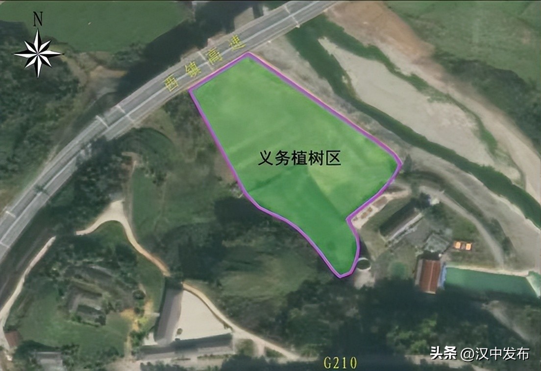 “植”此青绿！为汉中增添一片绿，从你我做起！