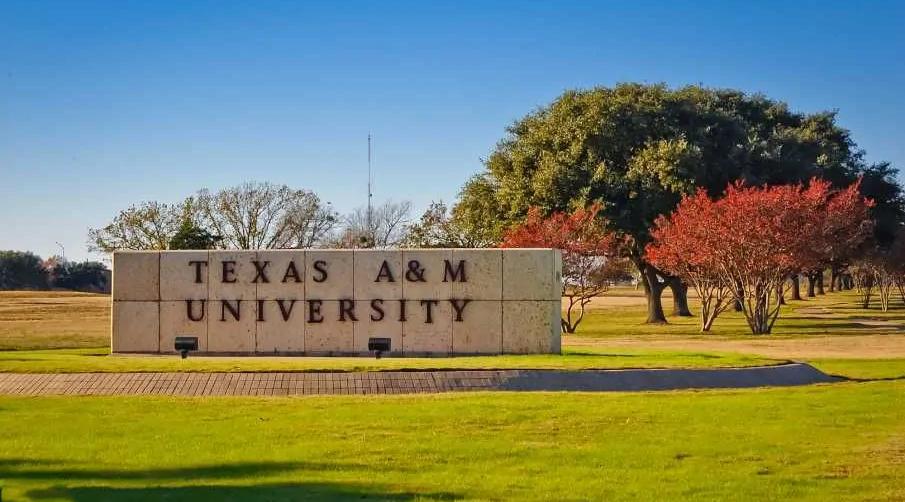 野鸡大学的锅我不背！名字很野鸡，竟然是世界知名高校？