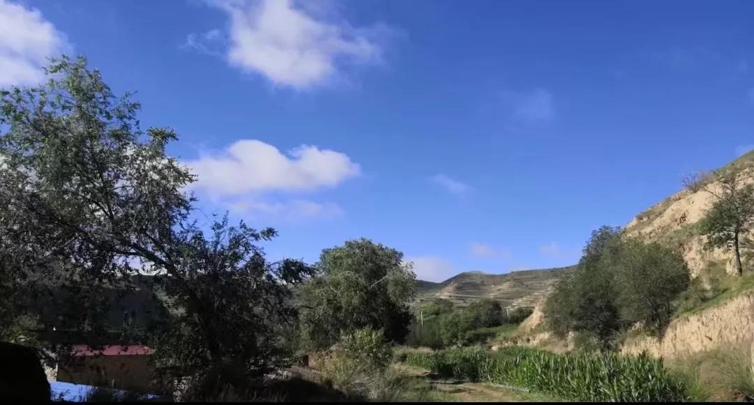 老妈告别儿女场景,悼母词范文