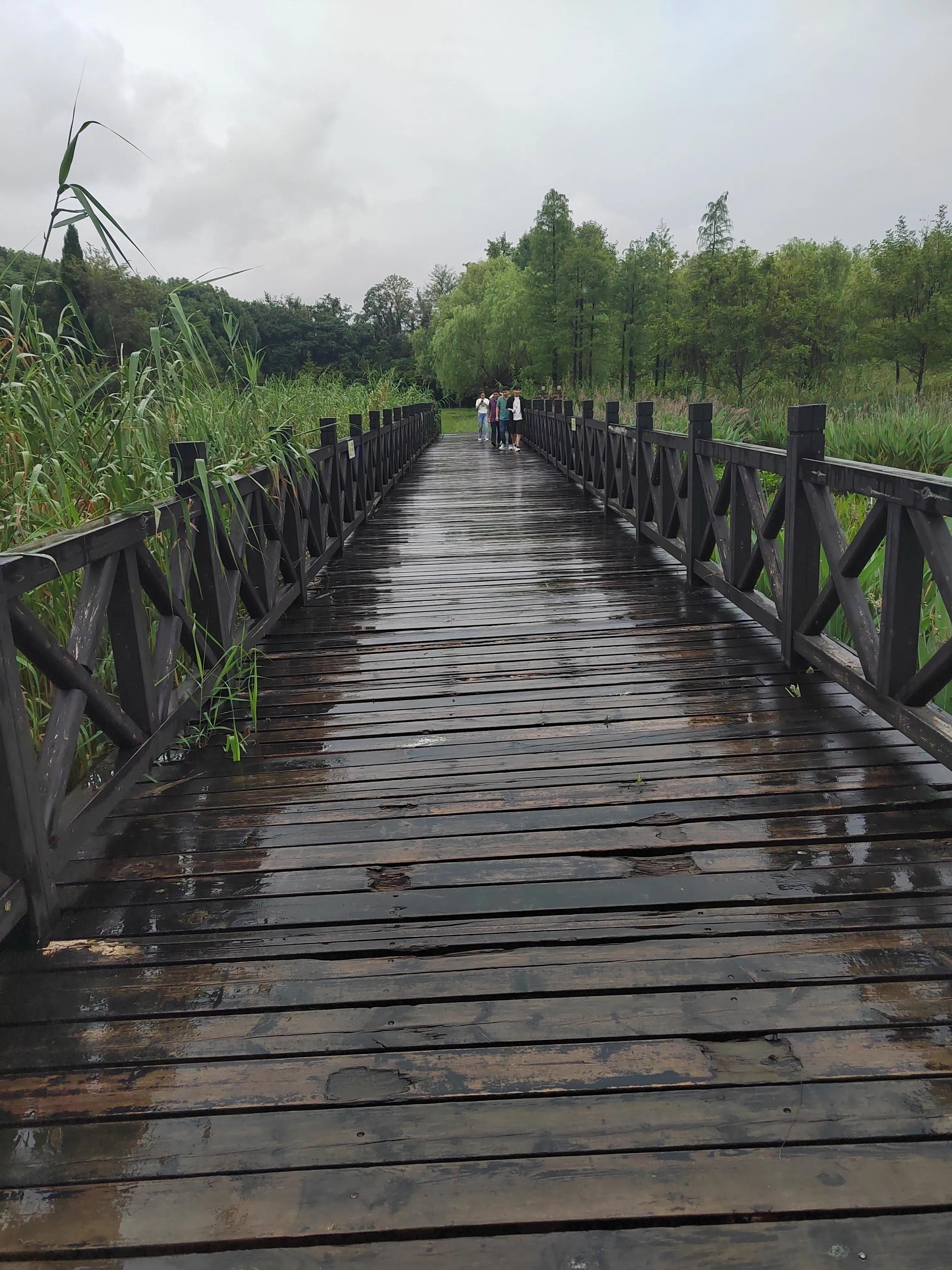 淹城是哪个省市,淹城动物园旅游攻略
