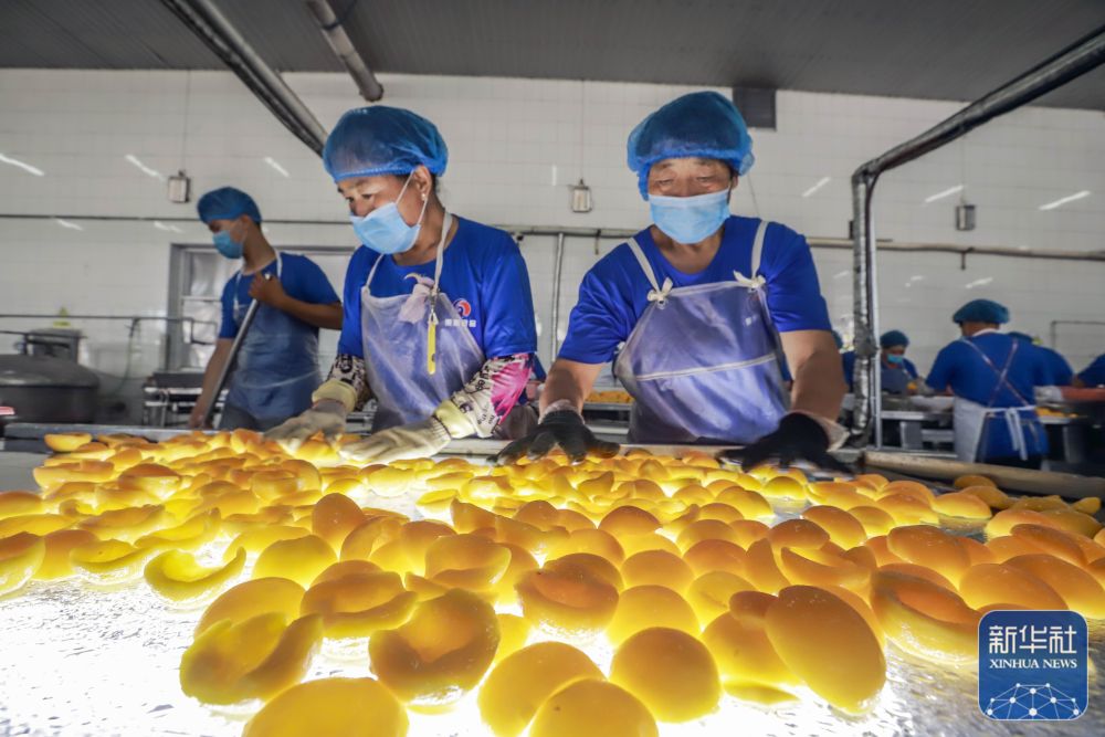 遵化农产品加工忙,遵化食品加工业帮农增收30亿元