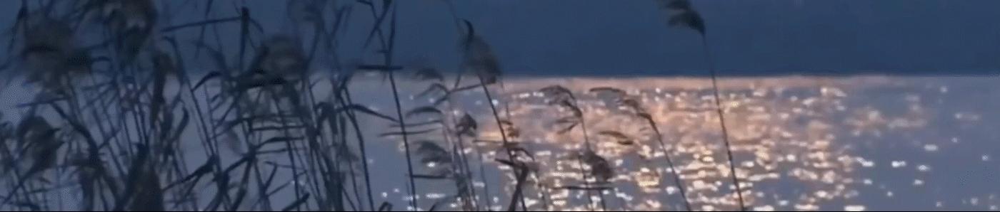 拳击手洛奇训练评价,拳击手洛奇深度解析