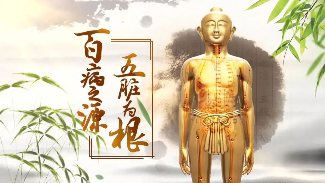 排干净体内杂物中医,中医清理身体垃圾方子