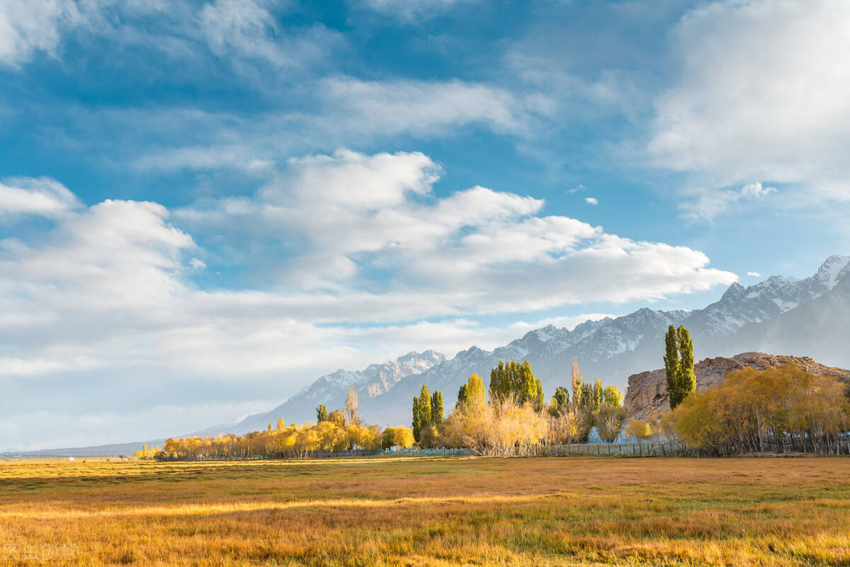 全民k歌线上k歌,全民k歌魔性k歌