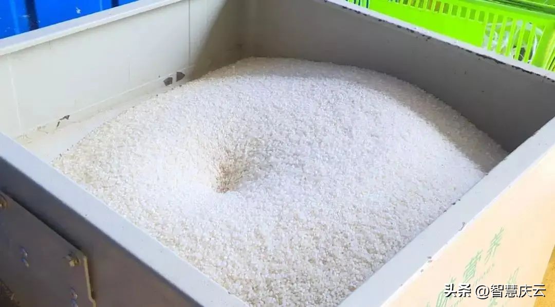 庆云县尚堂镇致富能手宗兴林：扎根乡土领路群众致富