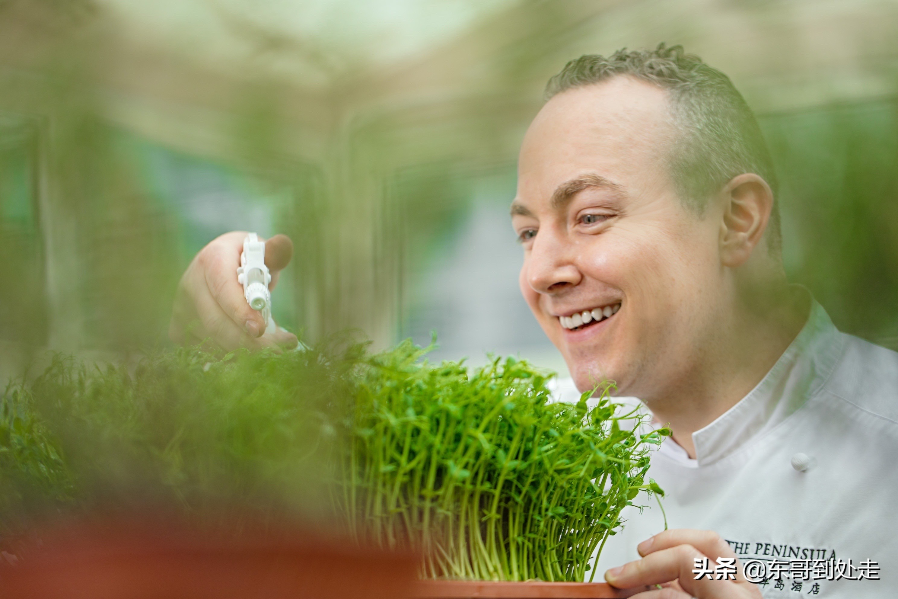 王府半岛酒店设计,2017王府半岛酒店