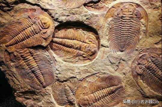 武当山南岩玄武石碑之谜,武当山之谜完整版