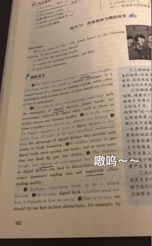 猫界顶流刘二豆,喵界顶流二豆