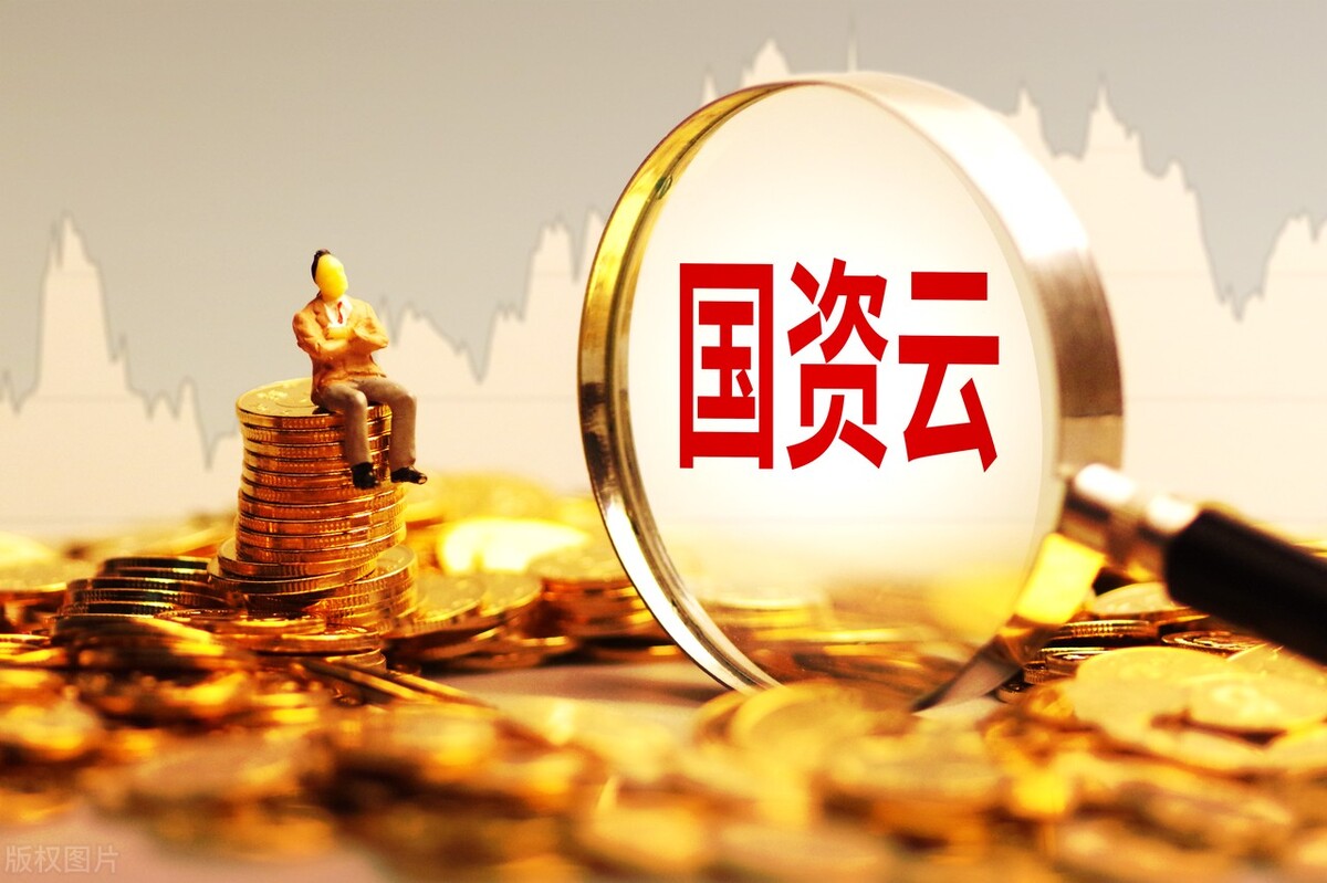 国资云软件,国资云龙头易华录