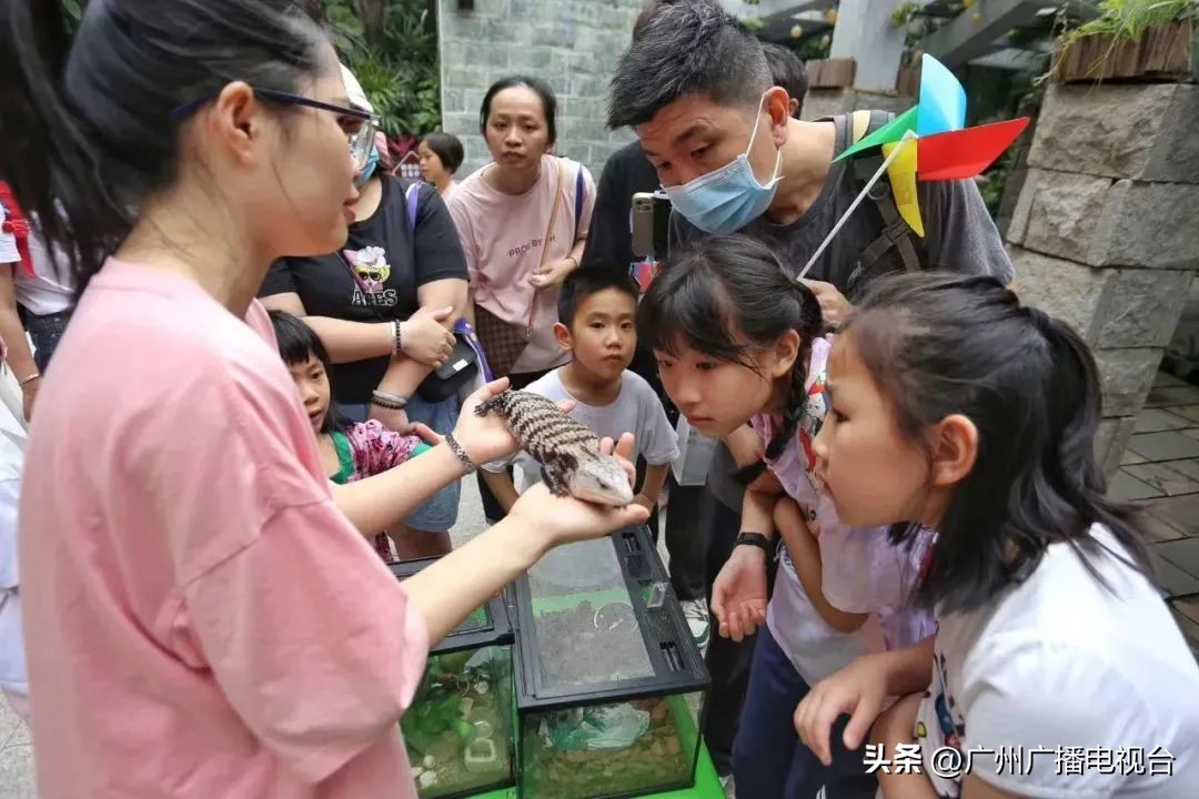 广州五一文旅活动,五一去广州哪里旅游比较好