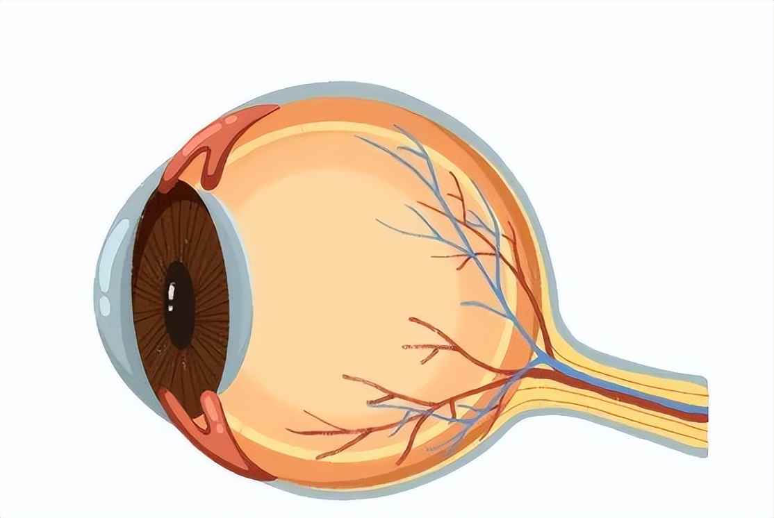 去水上乐园会感染霉菌吗,去水上乐园会感染妇科疾病么