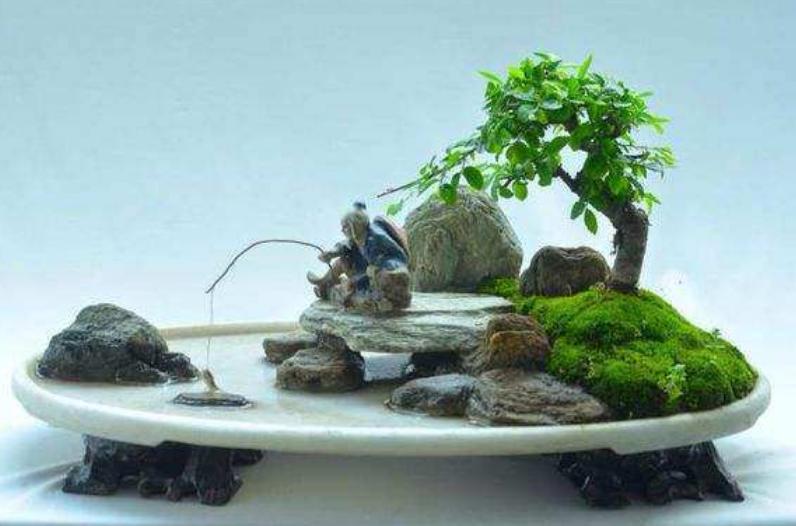 70岁大爷捡破酒瓶种花,70大爷捡酒瓶种花