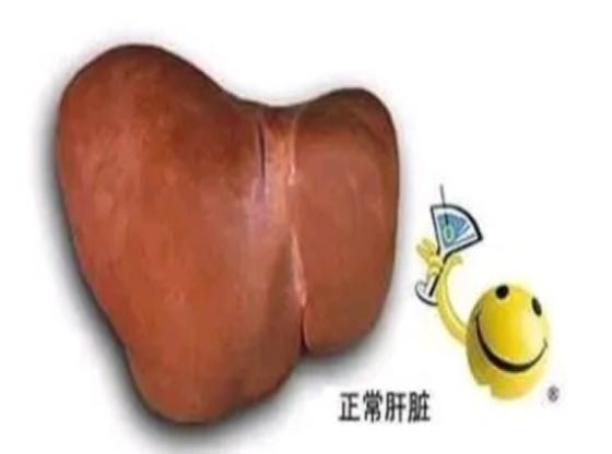 肝硬化身上长小红点痒是什么征兆,肝硬化脚面出了好多小红点有点肿