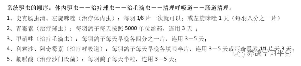 养鸽用哪些中药配方,养鸽人必备四种常见人用药