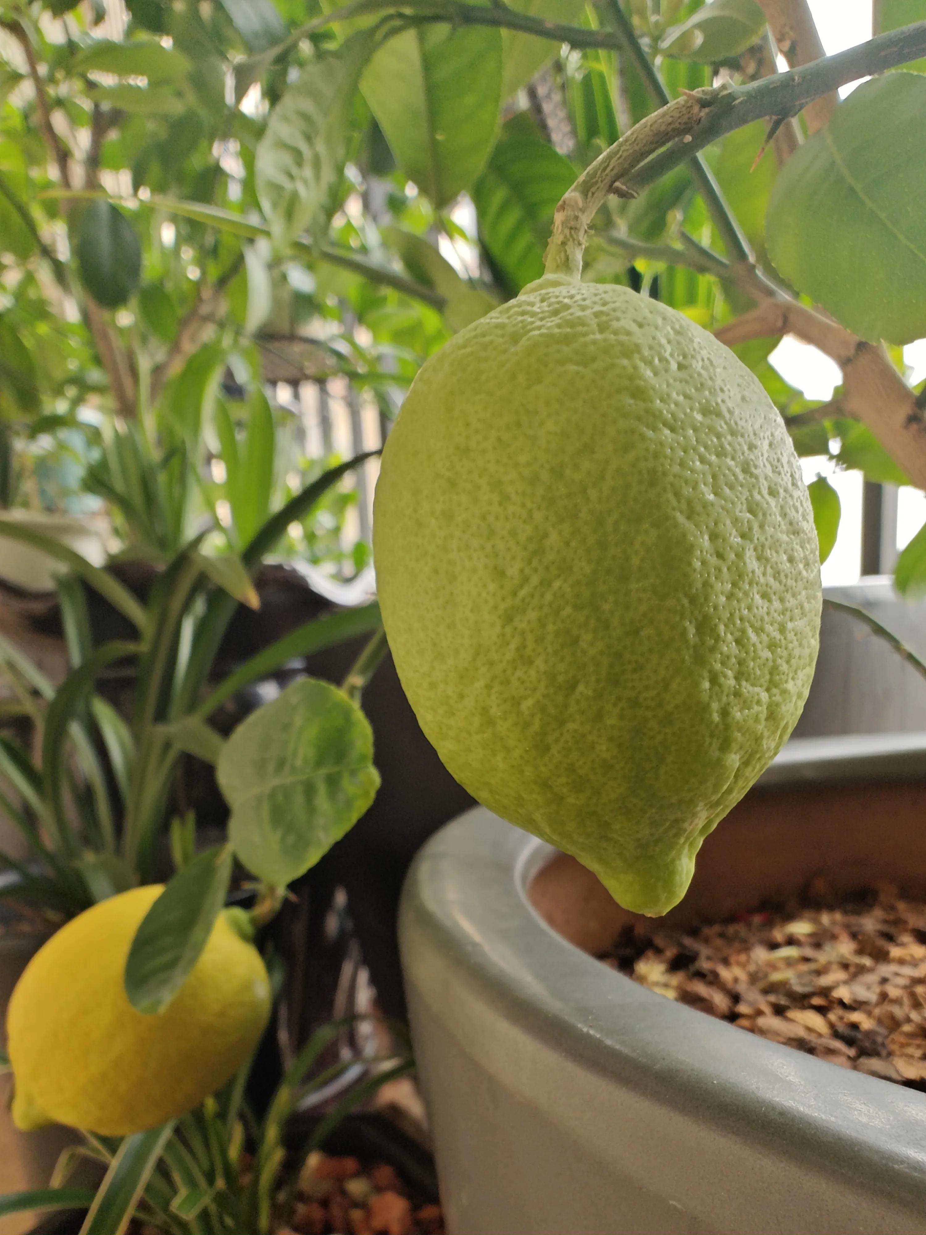 记事本日记图片,记事本日记本