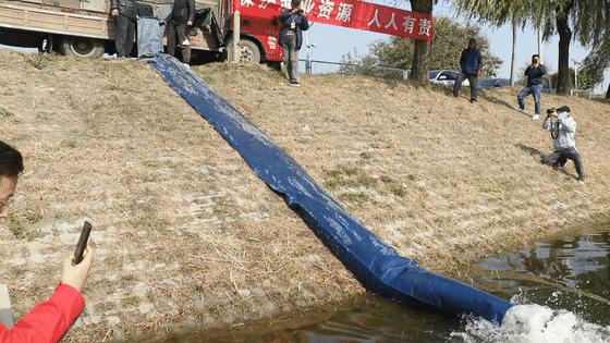 长江十年禁渔为什么鱼越来越少,长江十年禁渔后鱼怎么变多了