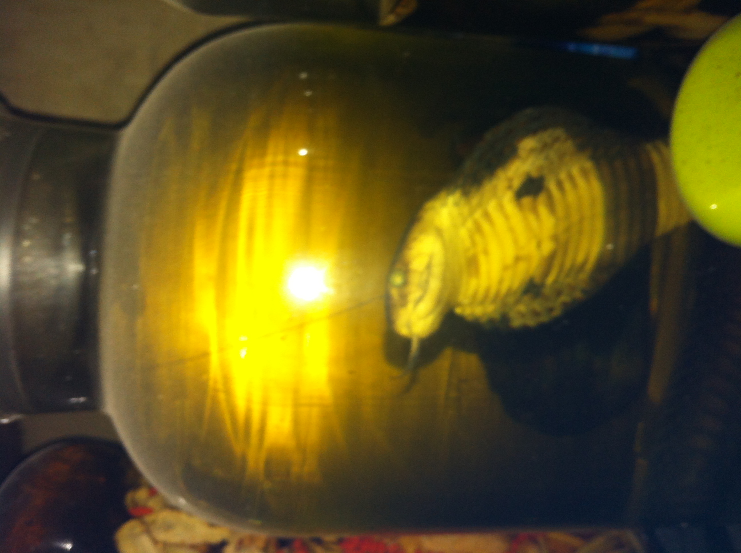 十年前的越南神曲,十年前的越南旅游