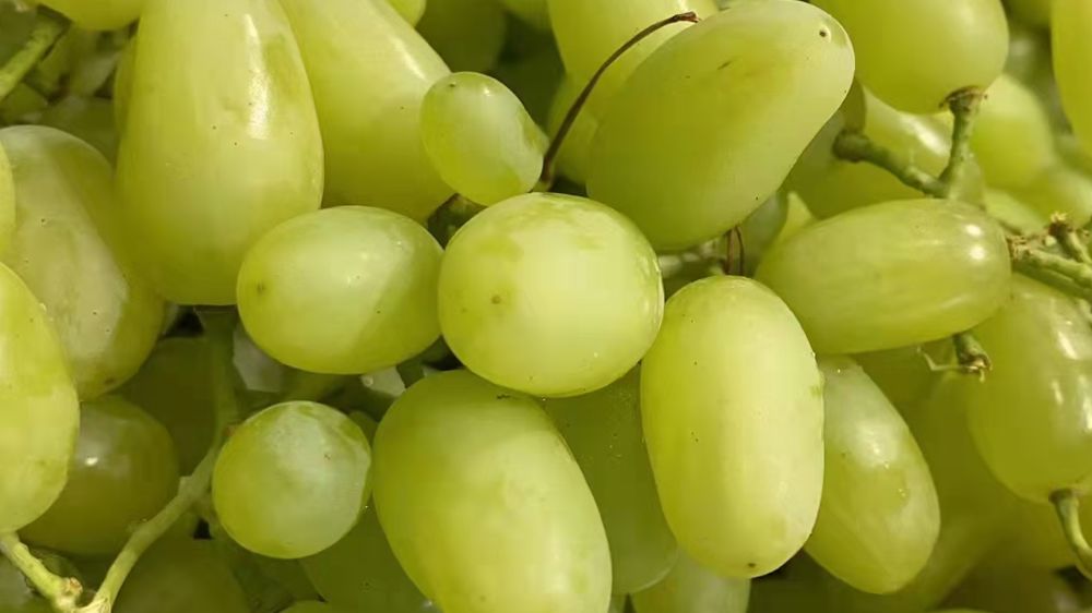 水果店圈子怎么样,水果店一般是从哪里进货