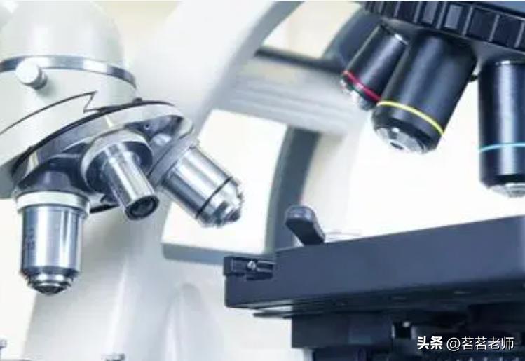 大学基础医学专业介绍及就业前景分析