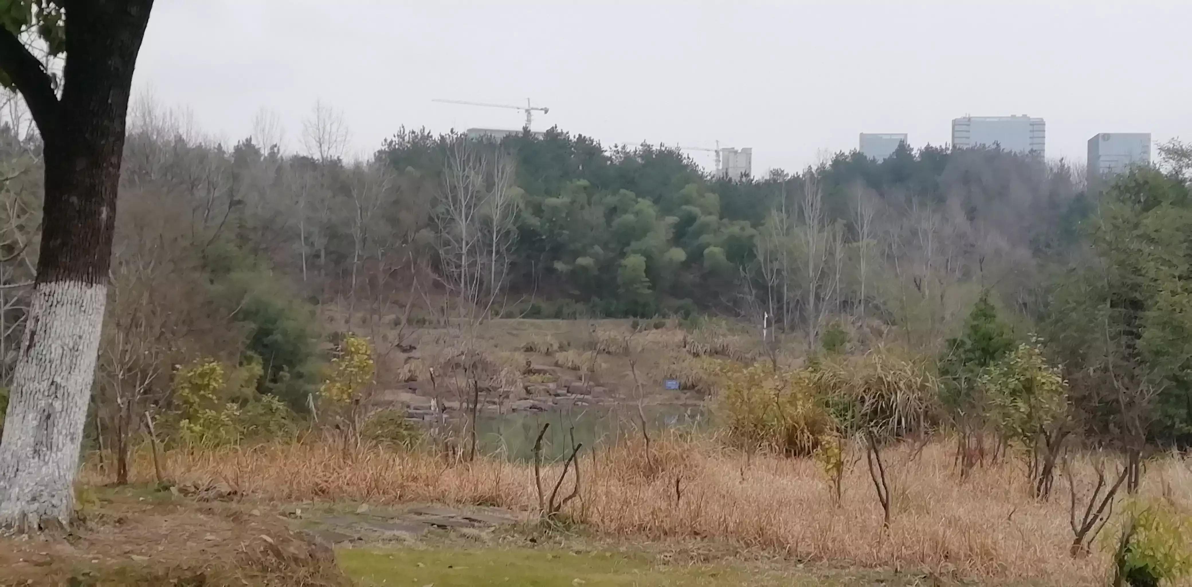 请投友们评论拍摄的怎么样？