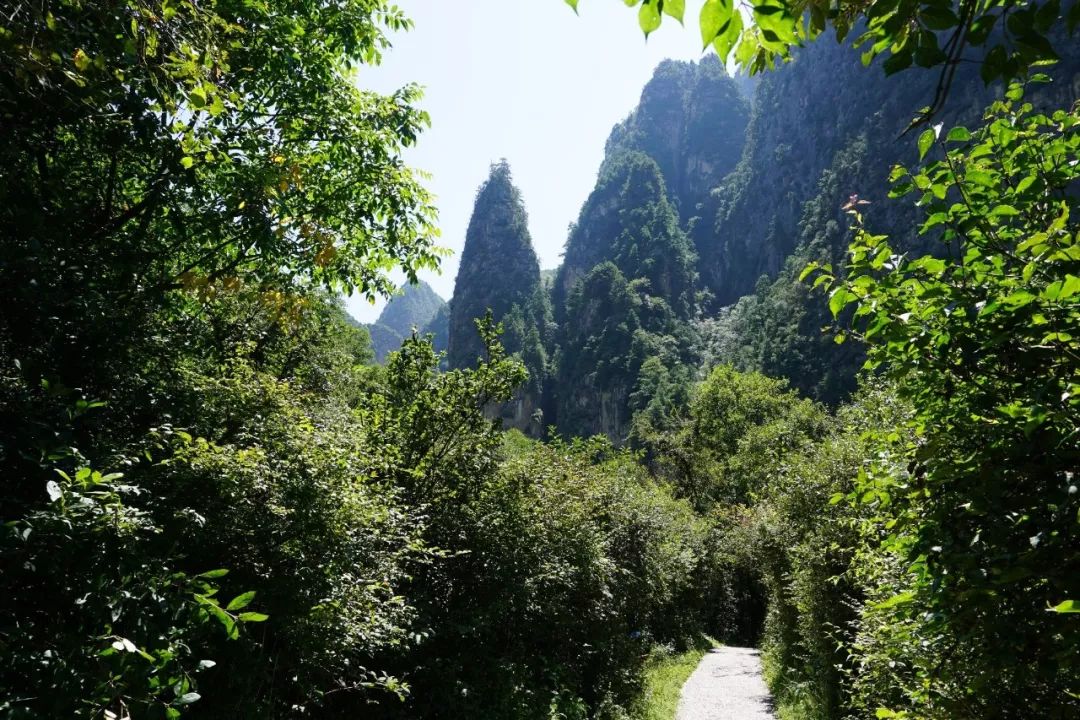最美人间四月天美景,最美人间四月天治愈系风景