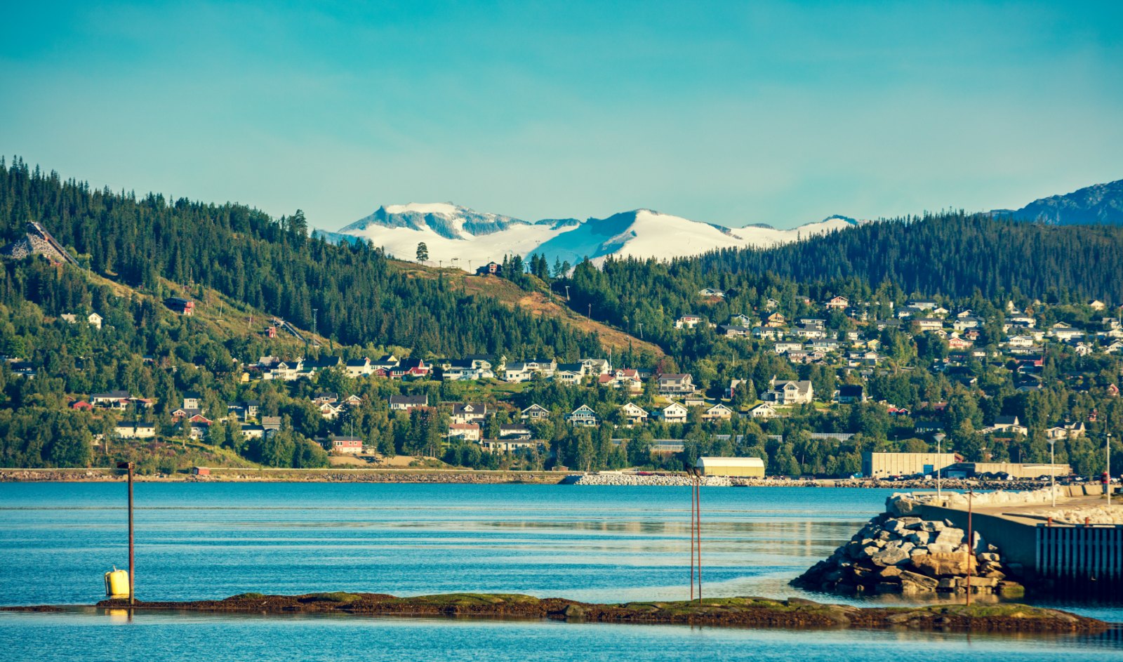 在我当船员的岁月里，我养大了一只海豹，尽管不舍也放它回归大海