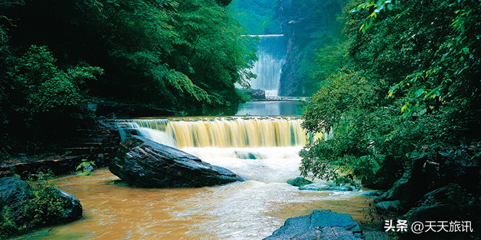 河南景点森林氧吧,河南五地入选中国天然氧吧