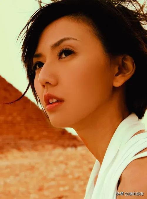 你知道为什么没人敢黑孙燕姿吗？