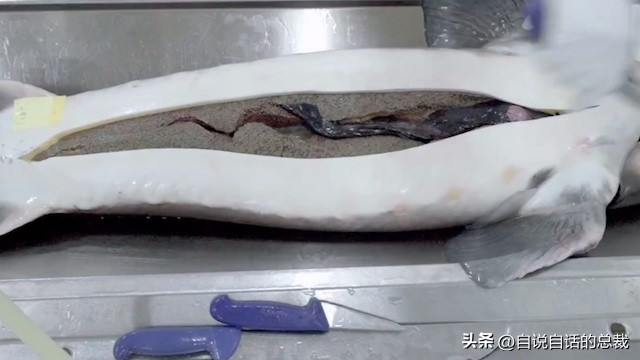 从2亿年不进化的王者，到比黄金还贵的食物，背后隐藏着商业秘密