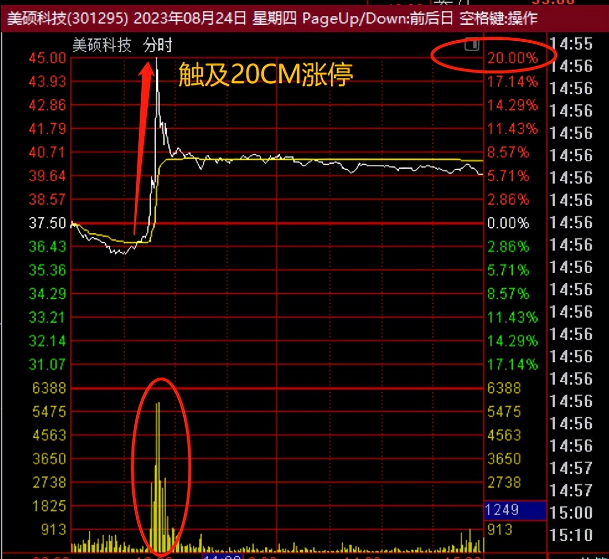 大吃肉合集,大吃肉名场面