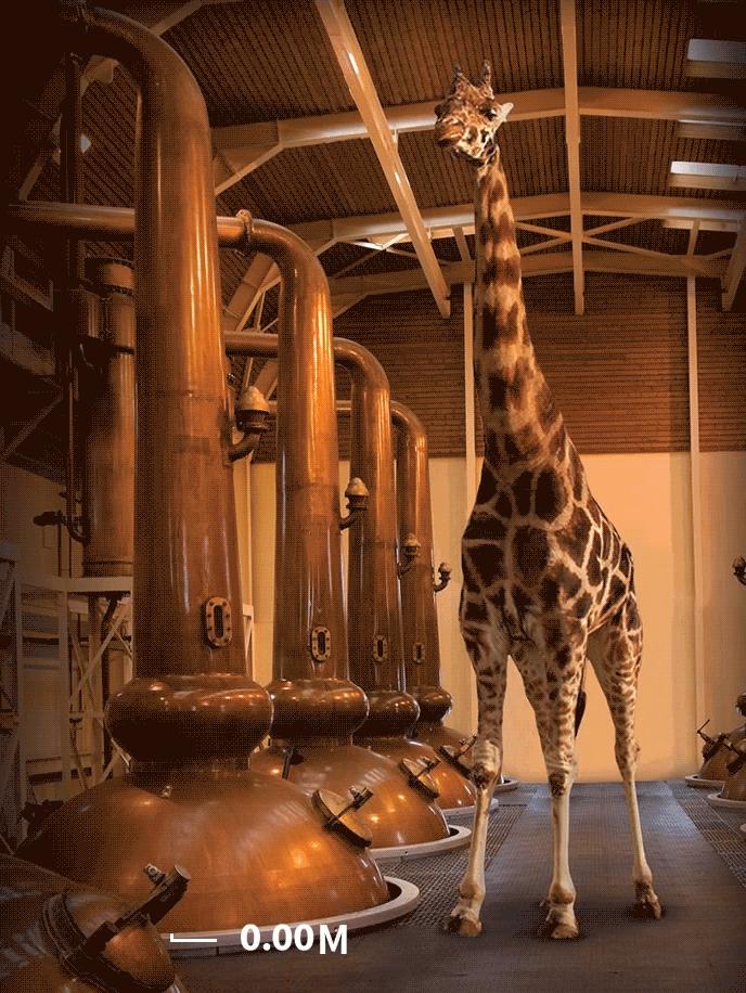 格兰杰单一麦芽威士忌多少钱一瓶,格兰杰10高地单一麦芽威士忌