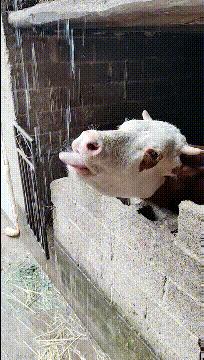 好不容易把钱还完了,好不容易把债还完了