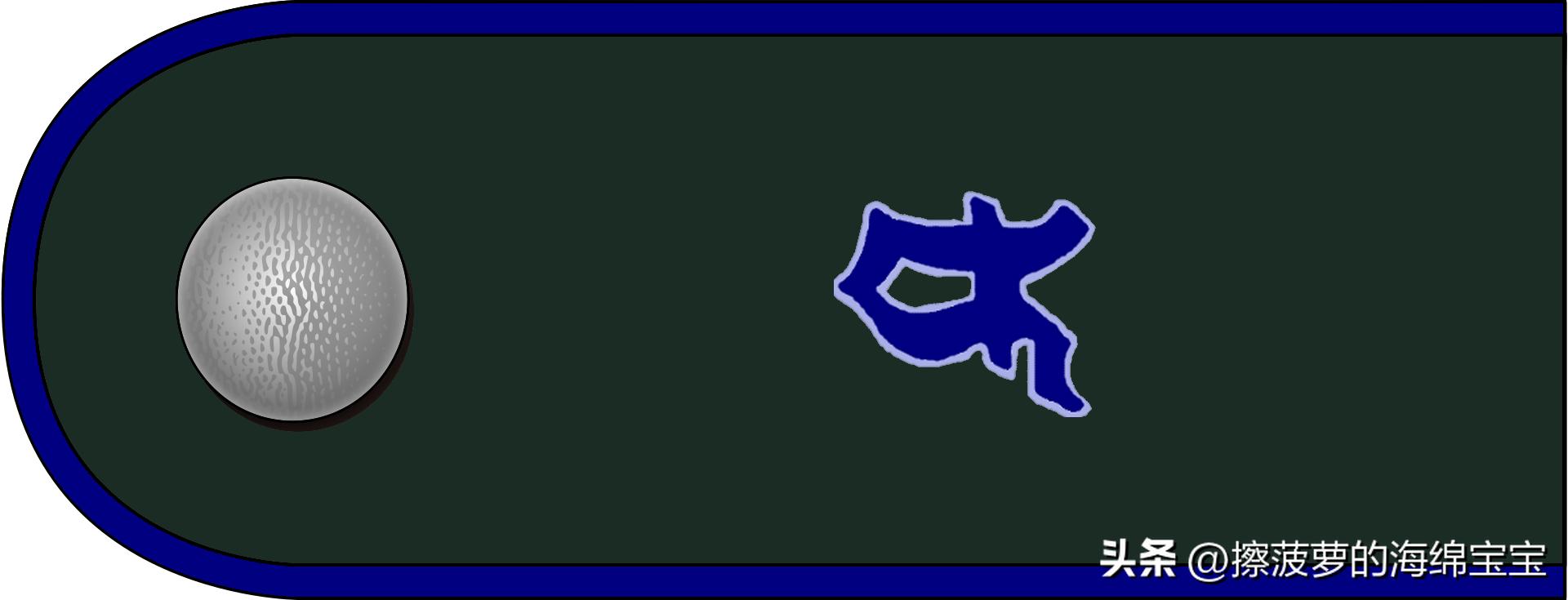 二战德国国防军医疗兵军衔标志