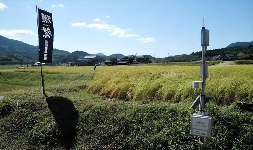 打脸日本农业：农药大国，净收入减半，神化背后到底为啥？