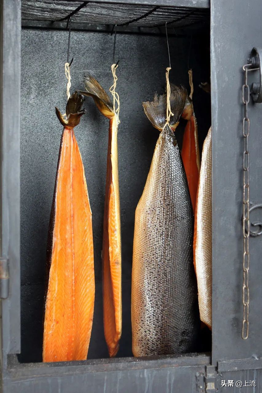 大马哈鱼,东北大马哈鱼