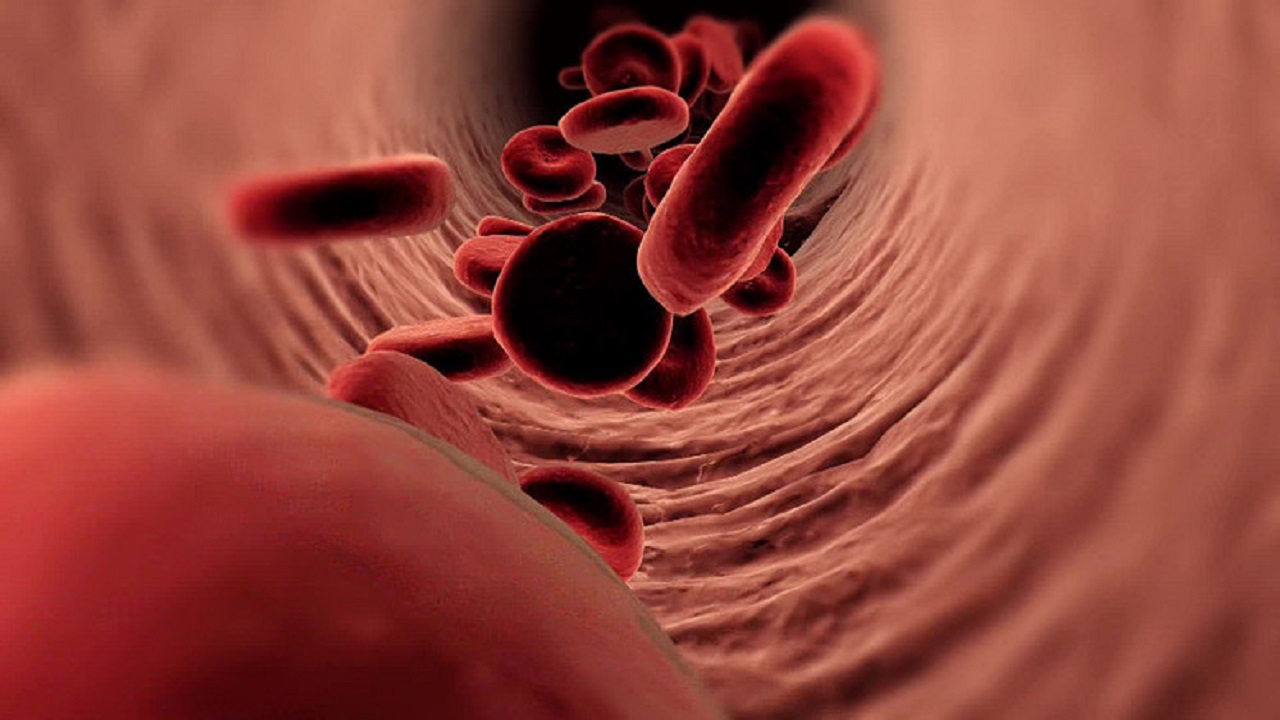 缺乏维生素b2时身体有什么表现,为什么会造成维生素b2的缺乏