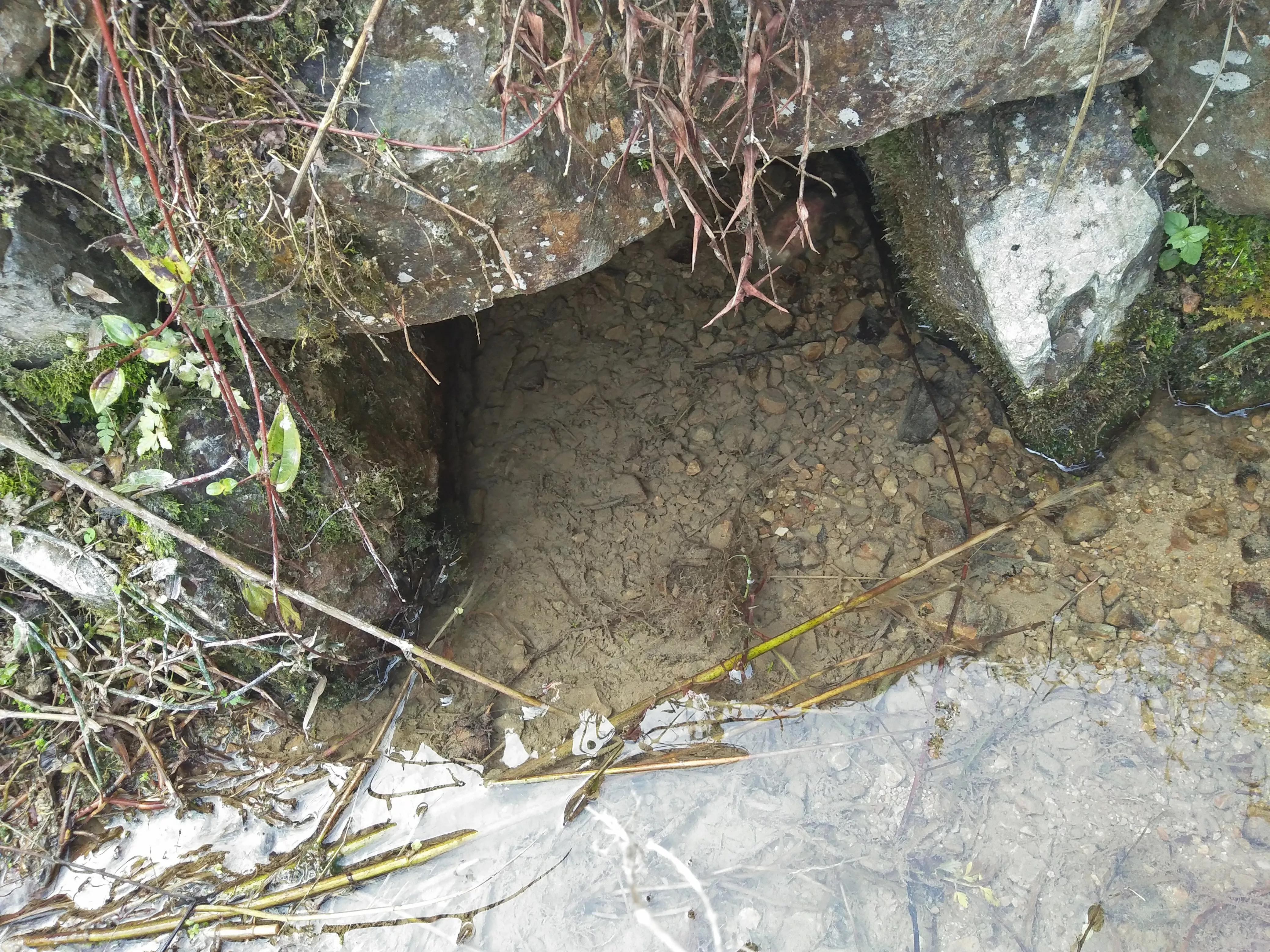 偏爱好姑娘,爱上好姑娘