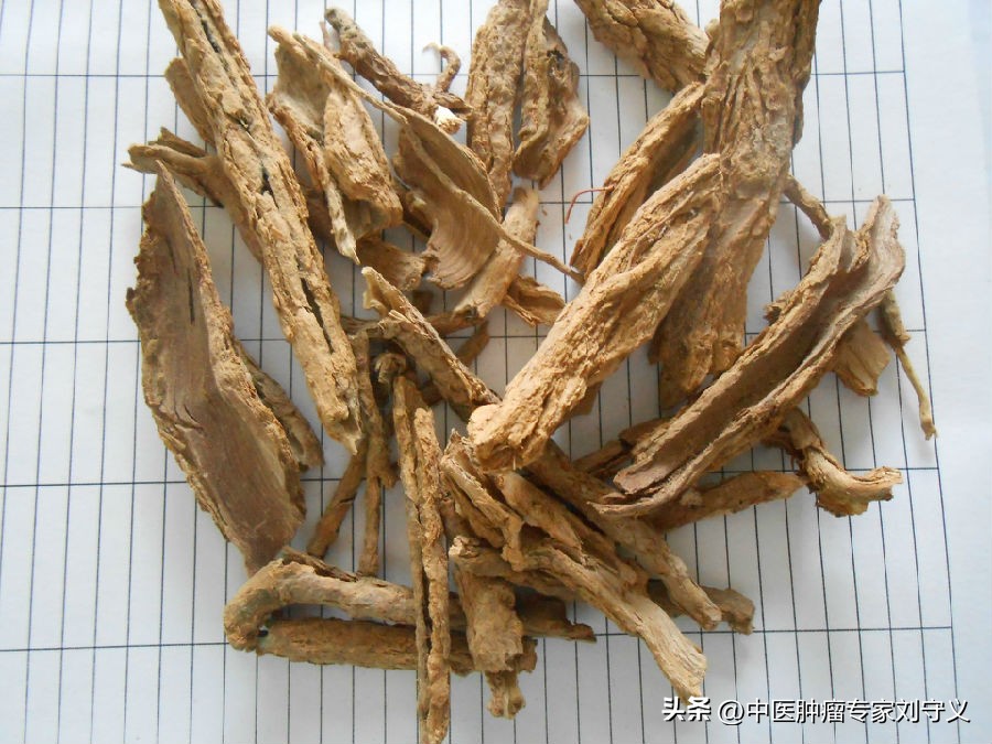 地骨皮这味中药能治什么病呢,地骨皮炙甘草泡水喝的功效