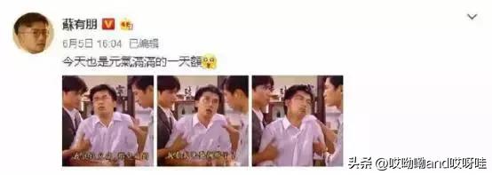 前有思聪吃热狗，后有婆孙插队，将真人做成表情包是否侵犯肖像权