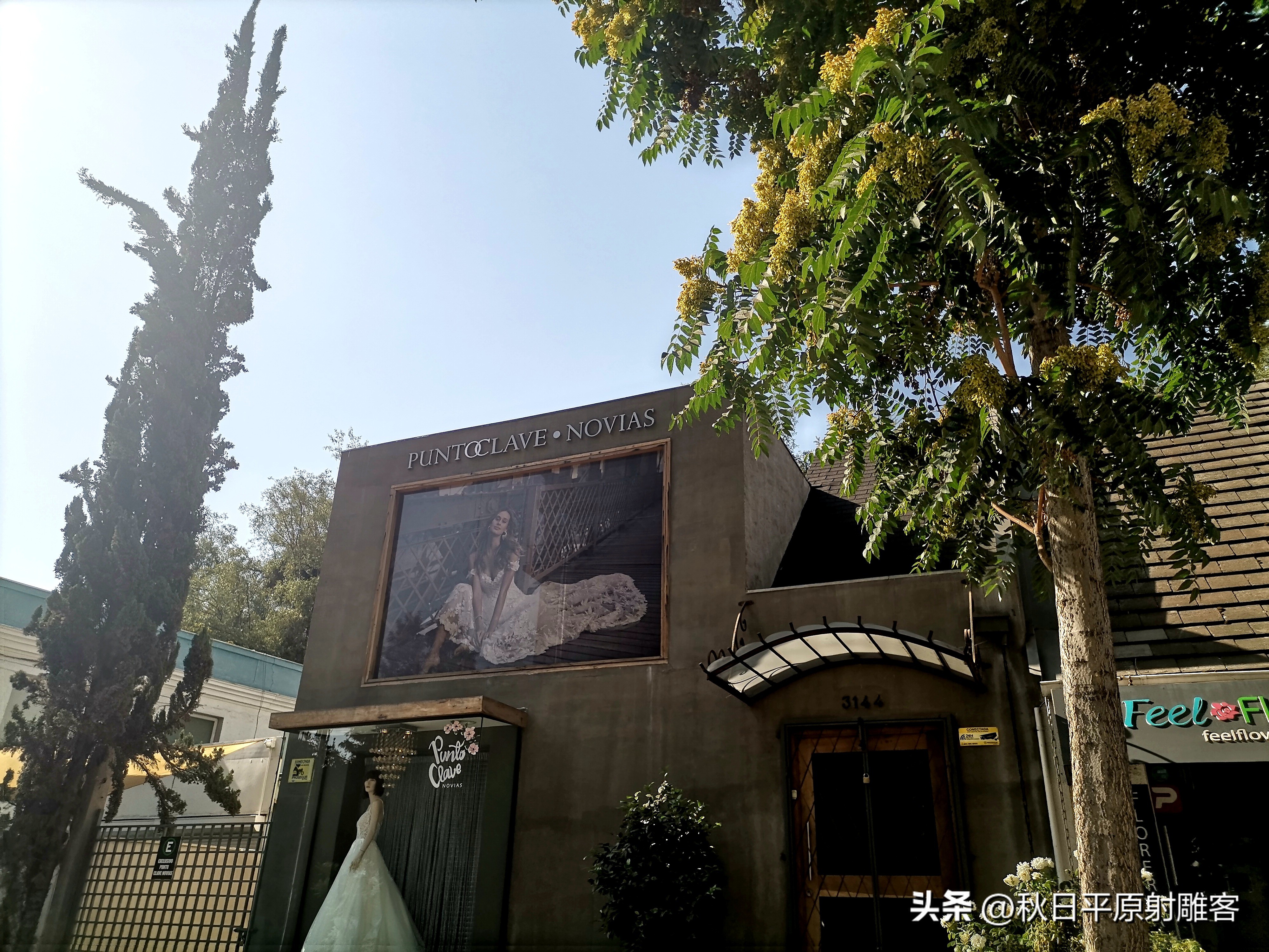 智利富人区,智利大卖场