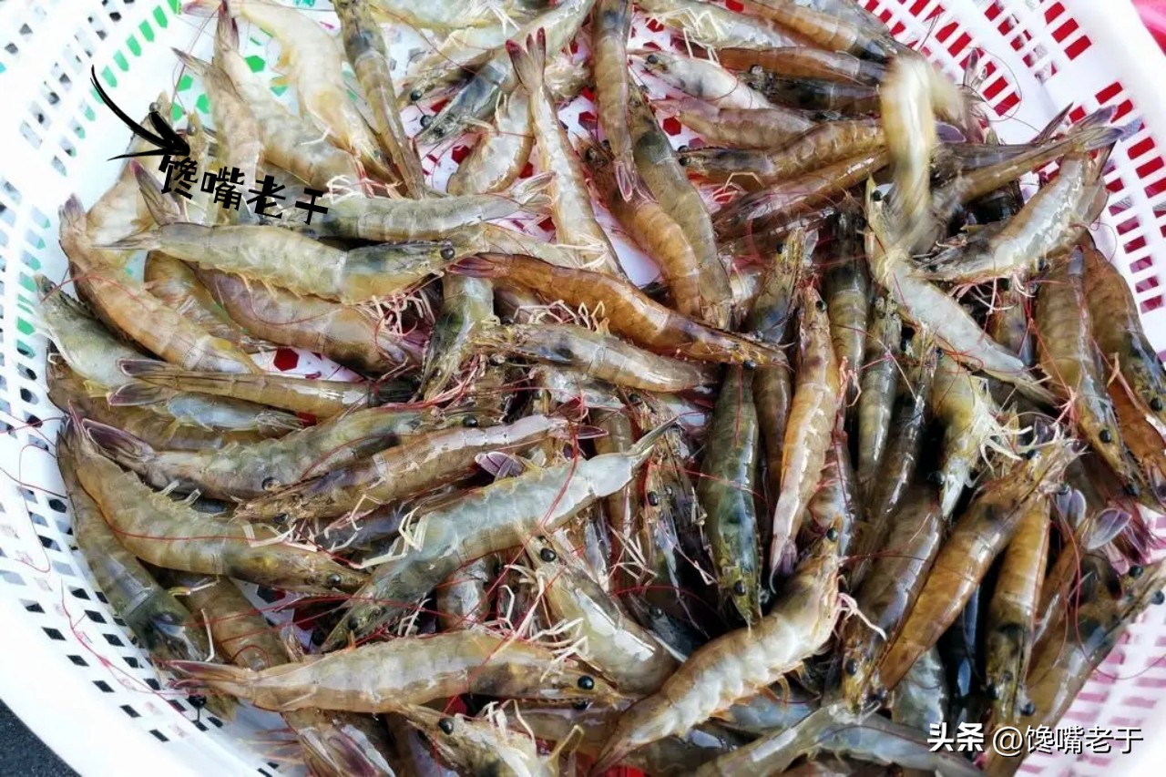 购买虾的正确方法和技巧,买虾要牢记这几点