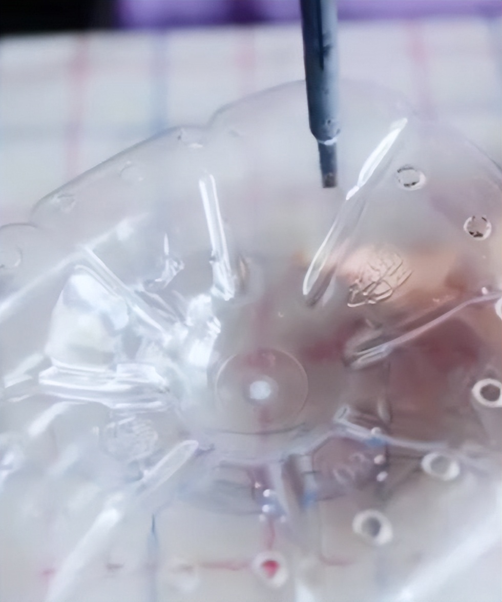 废弃塑料桶做花盆的方法,废旧塑料瓶改造花盆小妙招