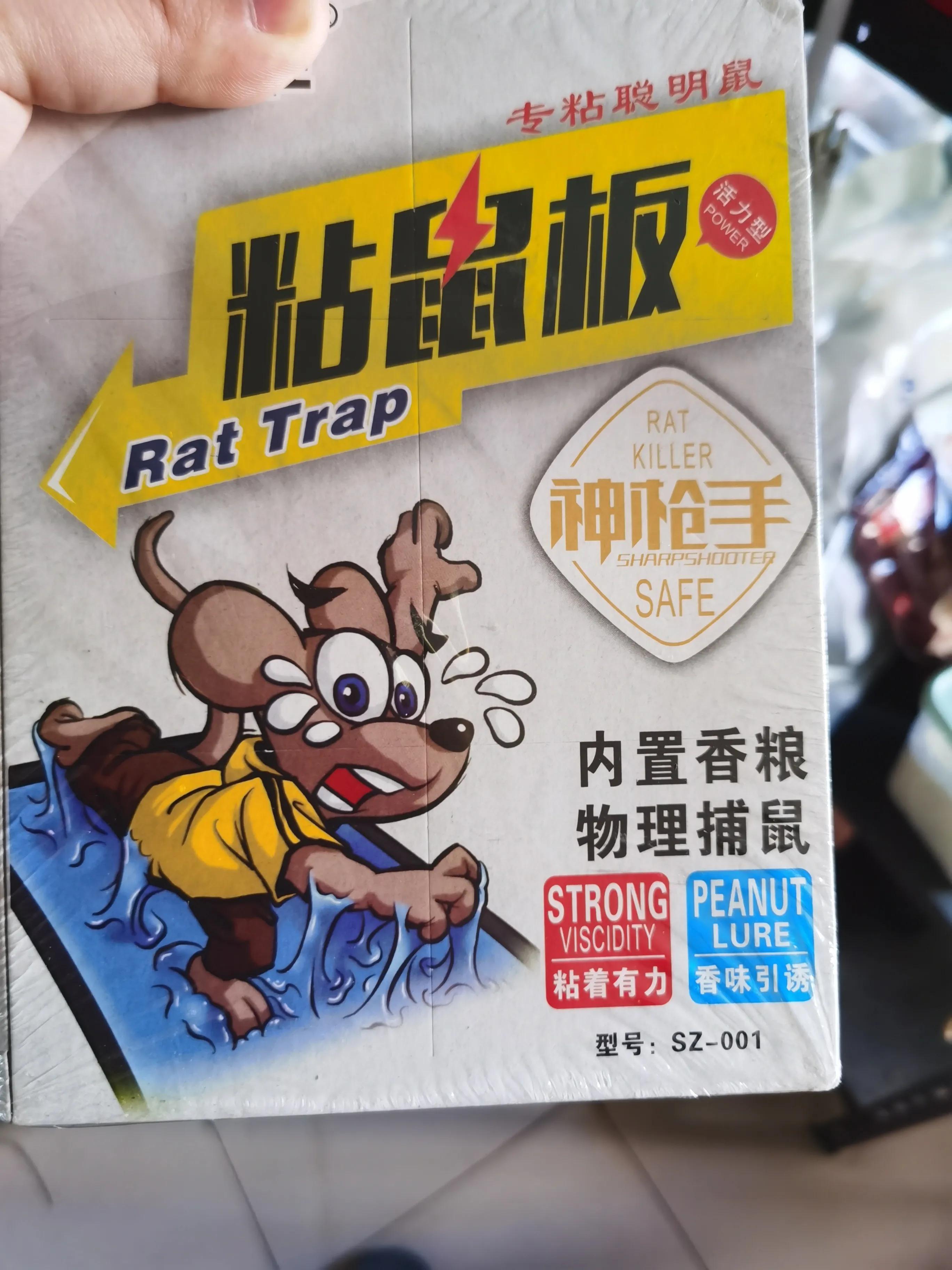 学校灭鼠怎样达到高效的灭鼠效果,专业灭鼠公司一般灭鼠都用啥方法