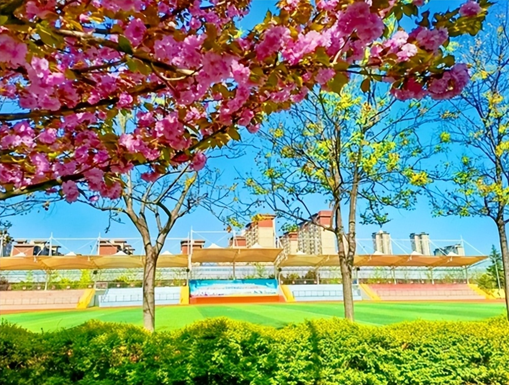 西安市浐灞第一中学2019届,西安浐灞第一中学