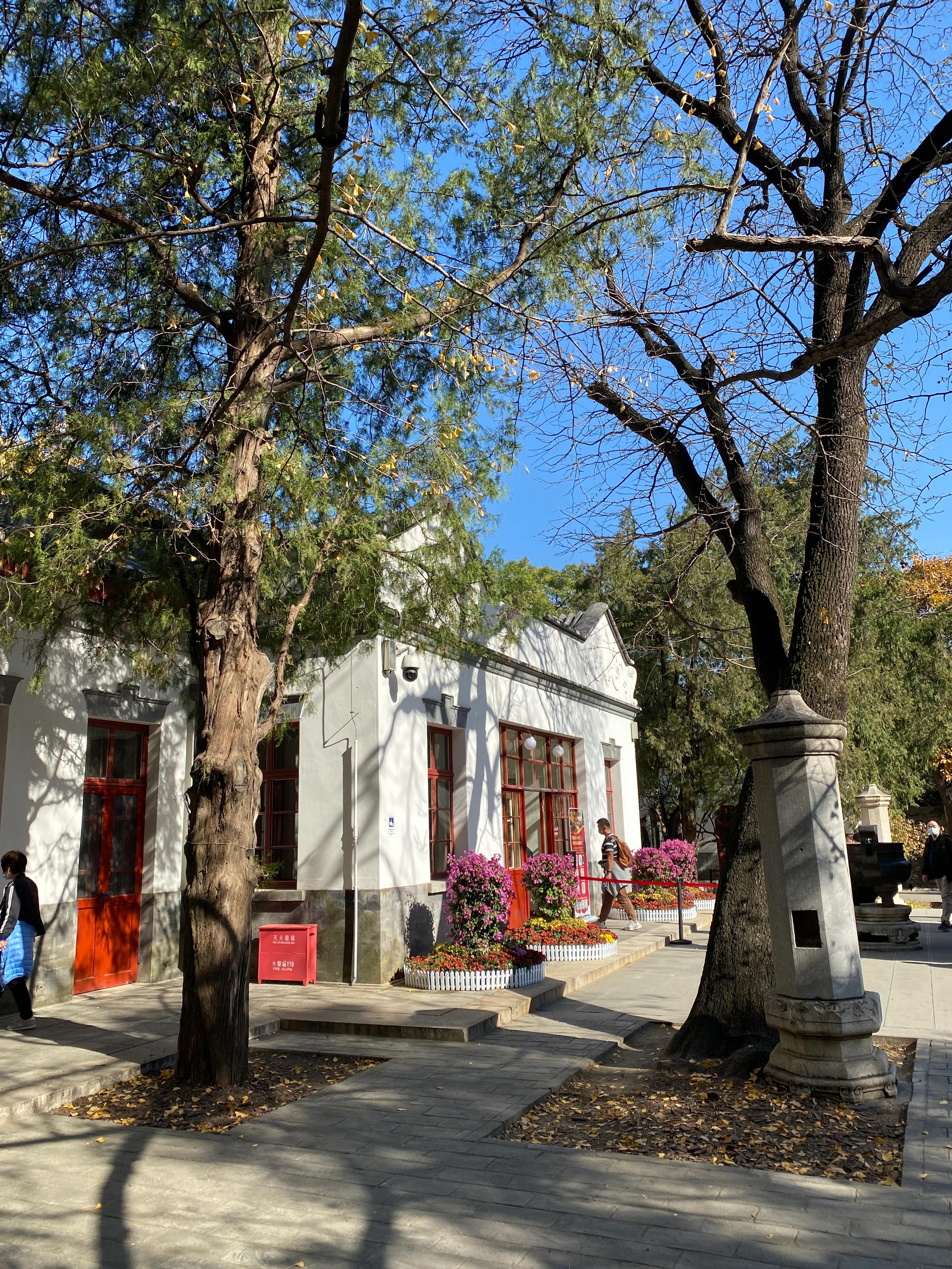 香山风景区打卡攻略,北京香山公园打卡