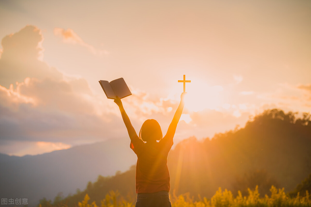 生命有星光大结局下,生命有星光全集观看