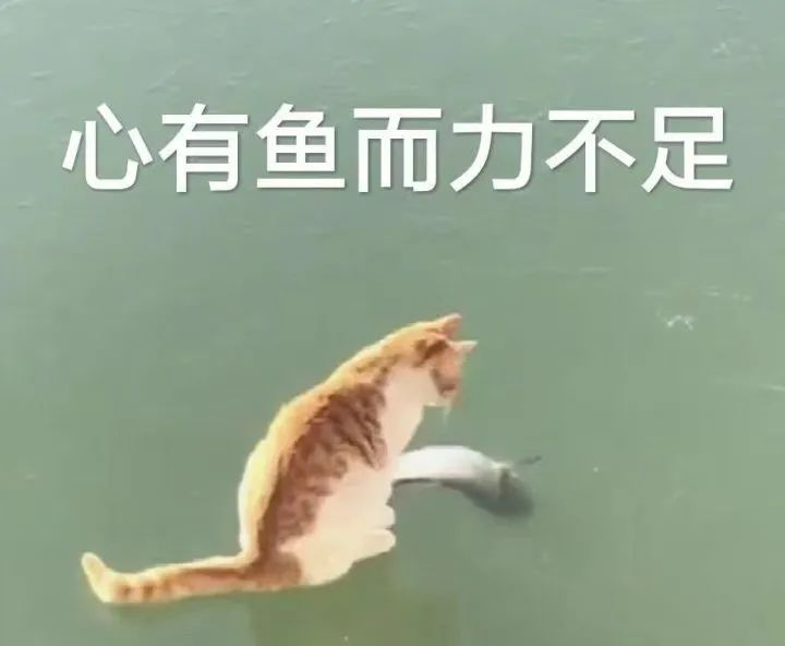 中国人精子数量下降了多少,2045年男性精子数量